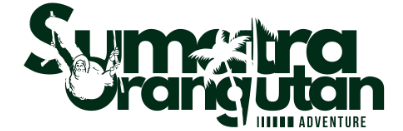 Sumatra Orangutan Adventure
