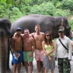 elephant (3)