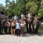 elephant (4)