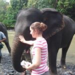 elephant (6)